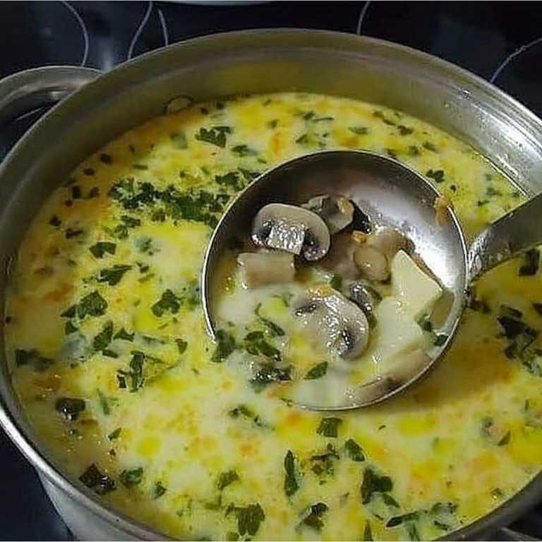 Суп из шампиньонов с картофелем: рецепты вкусных грибных супов
