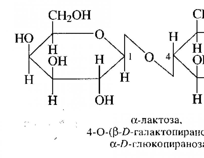 Схема образования лактозы