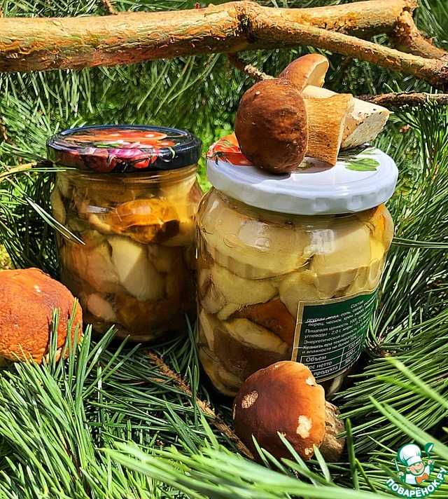 Что приготовить из шампиньонов: 20 вкусных и быстрых рецептов
