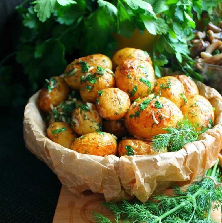 Молодая картошка, запеченная в духовке - 10 рецептов с фото на любой вкус