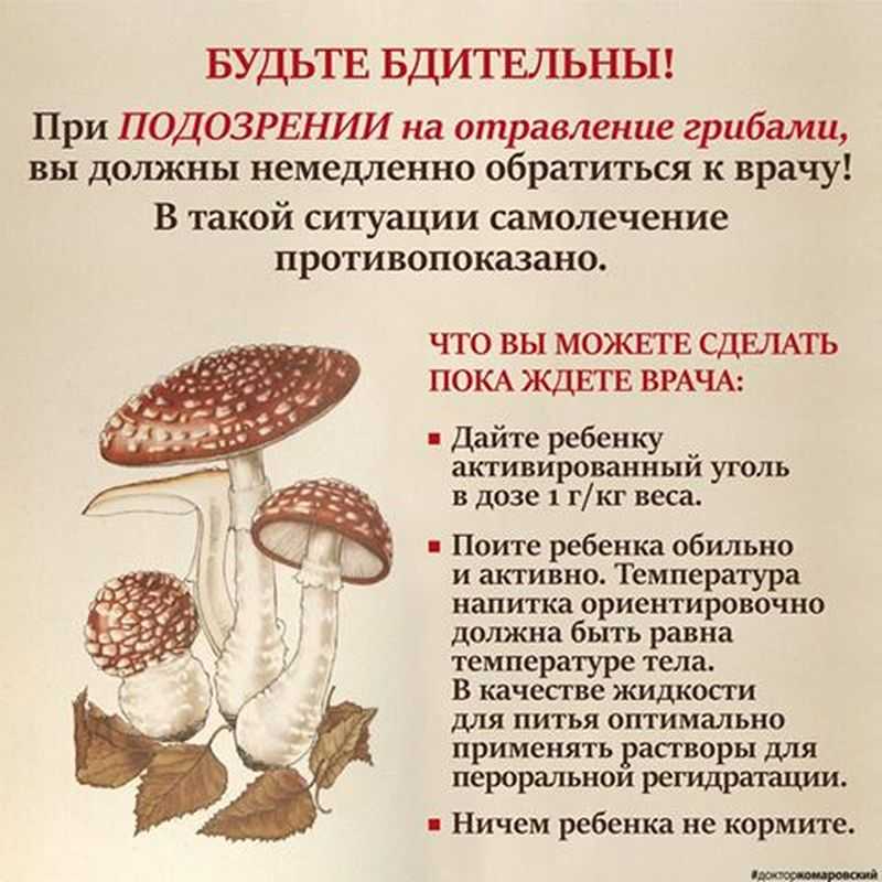 Ботулизм в грибах соленых, маринованных, сушеных, замороженных, консервированных: причины, как определить, избежать
