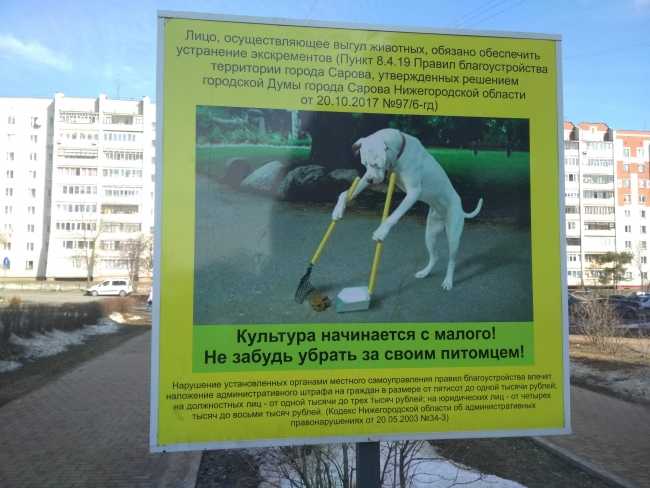 Какой запах гарантировано отпугнет собак от любимого ковра или газона?