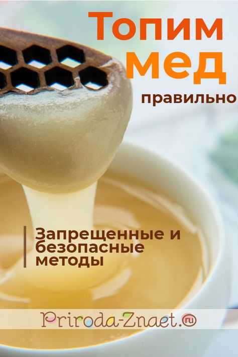 Мёд – это и любимое лакомство, и лекарство и природный подсластитель В России мёд от пчёл можно получить только летом, а вот потреблять его хочется круглый год
