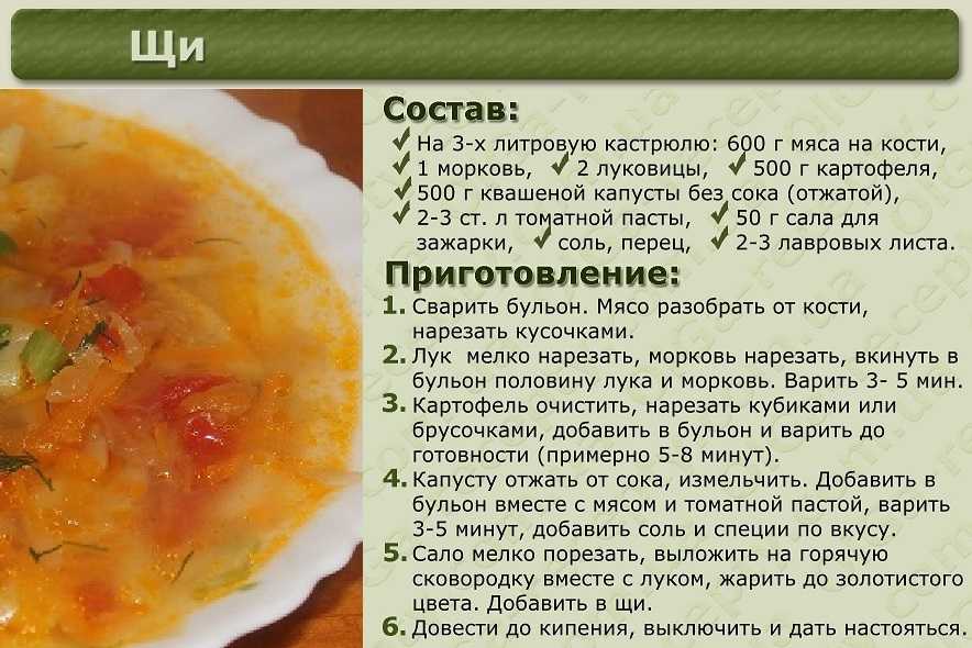 Щи из свежей капусты — классические рецепты щей из капусты