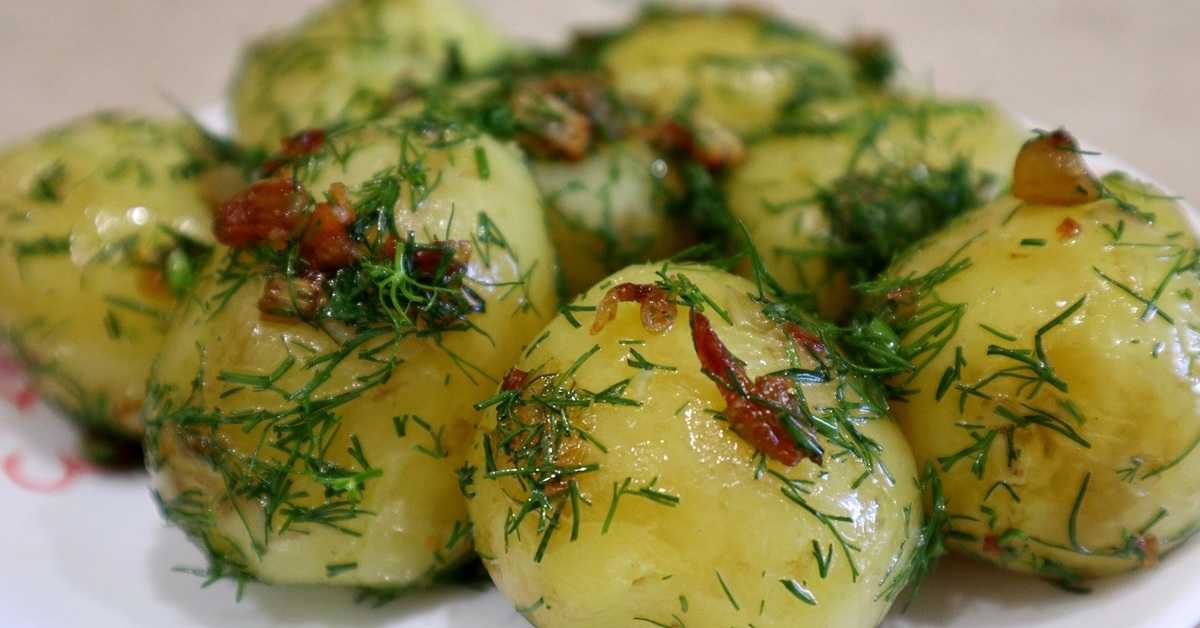 Отварная картошка – старинные и смелые рецепты для экспериментов и гурманов: рецепт с фото