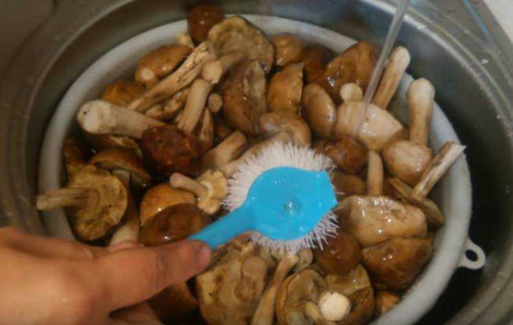 Нужно мыть грибы