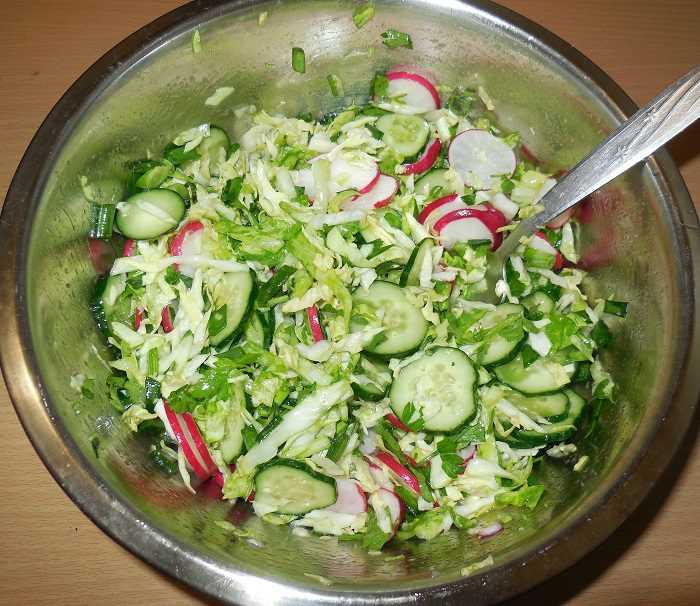 Рецепт салата из огурцов с маслом. Салат весенний из капусты. Салат весенний с капустой. Овощной салат с майонезом. Салат овощной весенний.