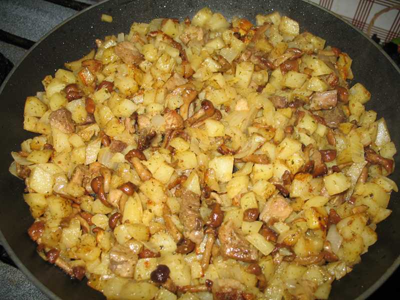 Жареная картошка на сковороде - 509 рецептов приготовления пошагово - 1000.menu