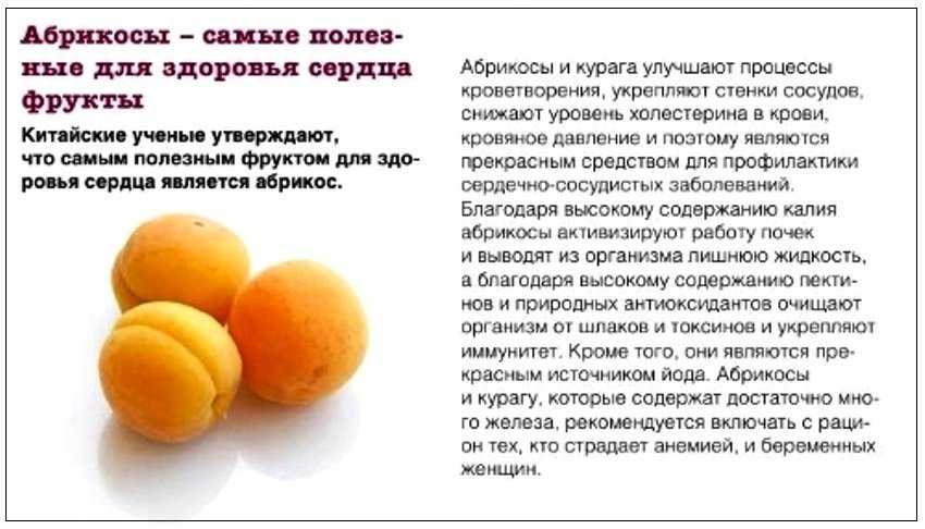 Топ-10 полезных фруктов для беременных