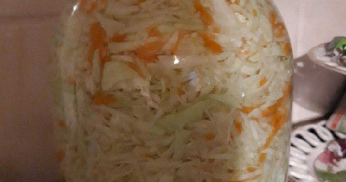 Квашеная капуста с корой березы — пошаговый кулинарный рецепт приготовления заготовок с фото
