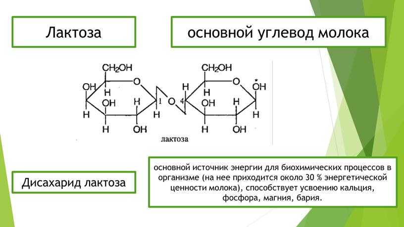 Лактоза презентация по химии