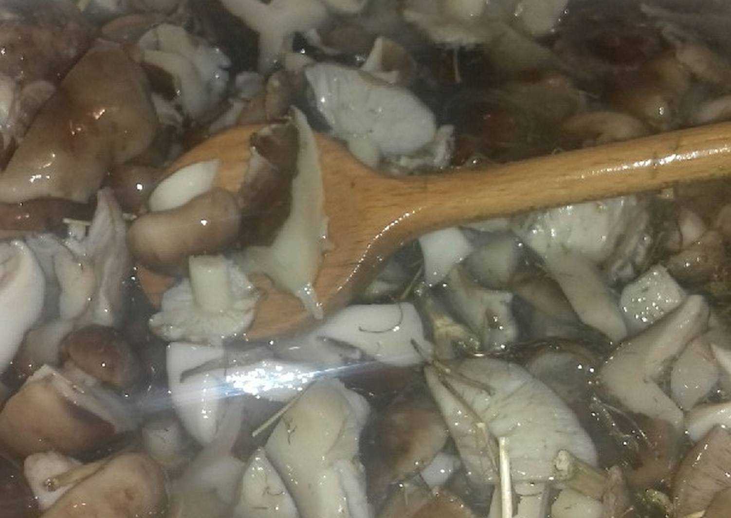 Рецепт грибов квашеных – квашеные грибы