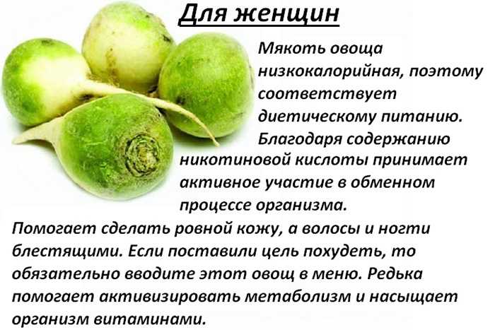 Японская кухня - особенности блюд из японии