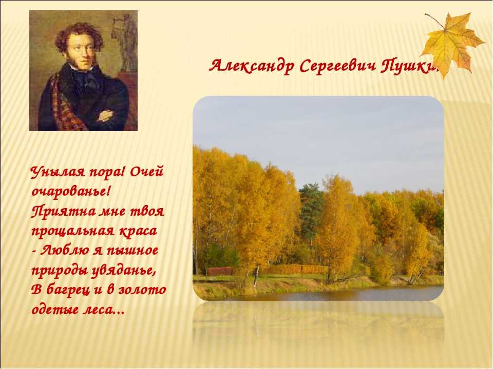 Как заморозить шампиньоны: свежие в морозилке, целые и резаные, сроки хранения