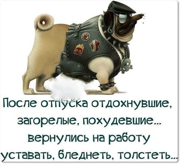 Прикольные картинки с окончанием отпуска и выходом на работу