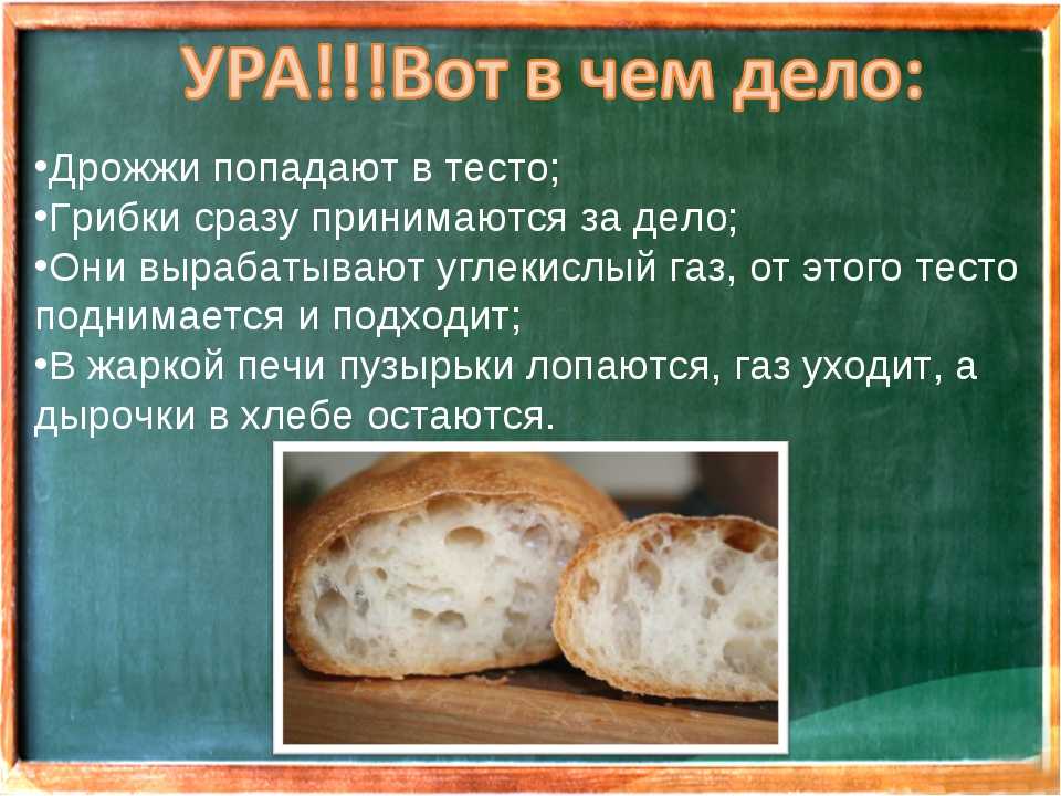 Можно ли добавлять дрожжи в тесто. Дрожжи. Тесто на хлеб дрожжевое. Полезные дрожжи для хлеба. Полезные дрожжи для организма.