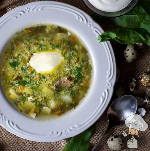 Зеленый борщ с щавелем и яйцом. 5 классических рецептов приготовления