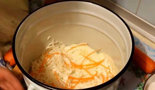 Капуста квашеная на зиму – очень вкусные рецепты в ведре, банках и бочке