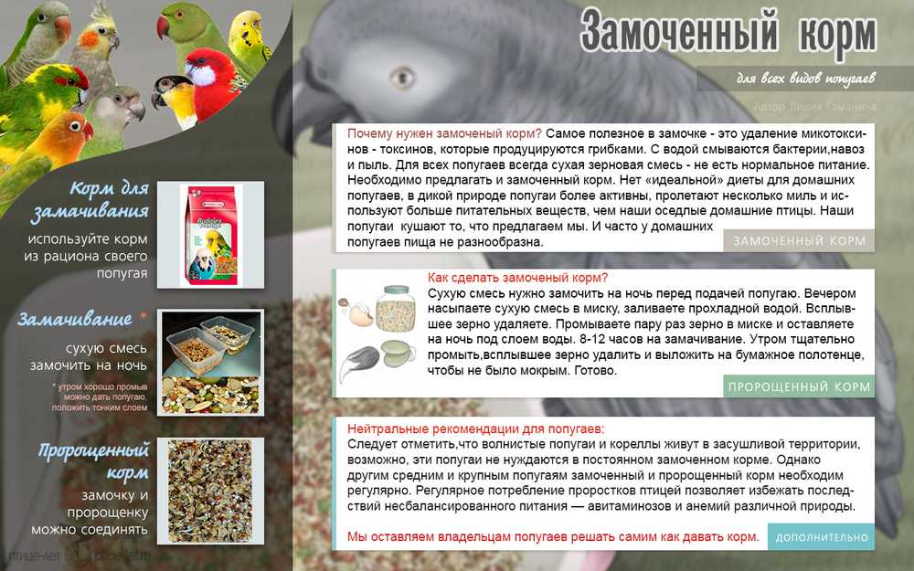 Не заводите дома волнистиков!