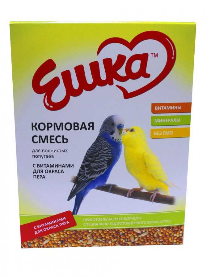 Чем можно и чем нельзя кормить кореллу в домашних условиях