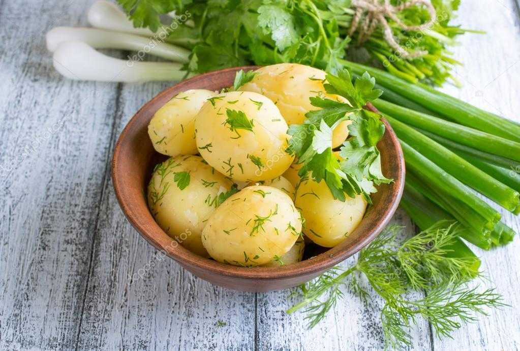 Лук чеснок и картофель. Вареная картошка. Картофель отварной с укропом. Картофель с зеленью. Картошка с укропом и маслом.