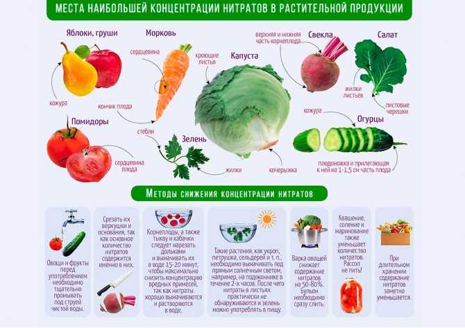 Как избавиться от нитратов в овощах? 3 домашних способа
