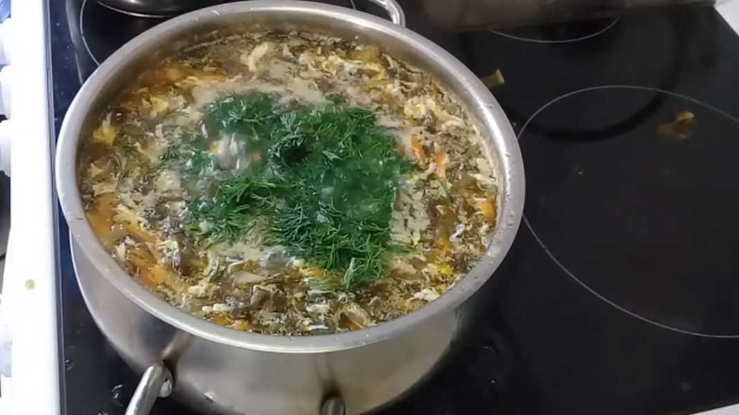 Щавелевый суп с тушенкой рецепт с фото пошагово