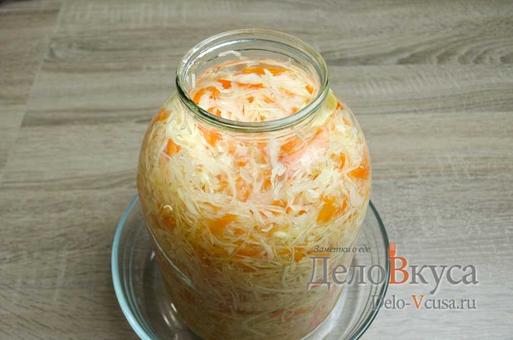 Квашеная капуста на зиму — 10 классических рецептов с морковью, яблоками, клюквой и хреном | ivanovo portal