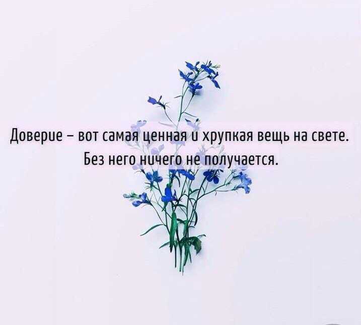 Как дольше сохранить в холодильнике: укроп, петрушку, салат, рукколу, шпинат и остальное
