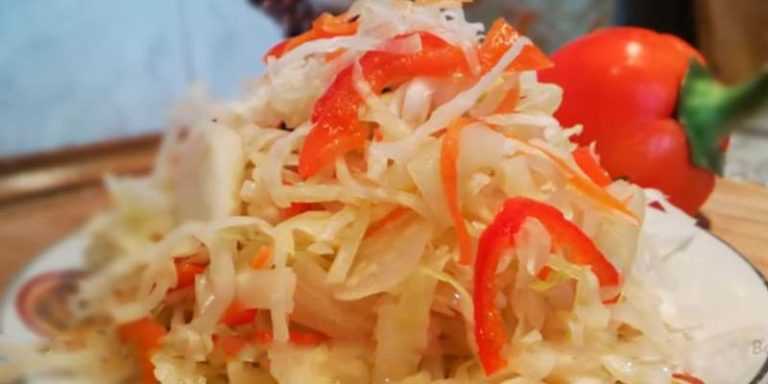 Квашеная капуста с перцем и помидорами - кулинарный рецепт с пошаговыми инструкциями | foodini