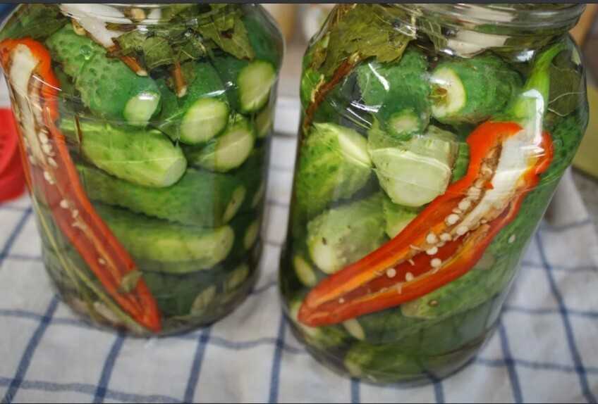 Салат из огурцов на зиму: вкусные рецепты с фото пошагово