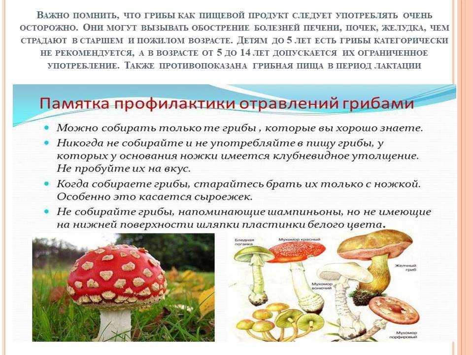 Ботулизм в грибах – опасность соленых и маринованных продуктов