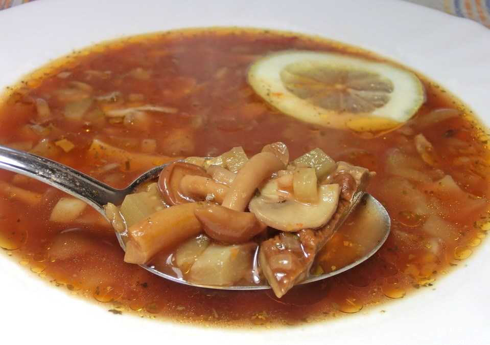 Солянка с грибами - 15 рецептов приготовления пошагово - 1000.menu