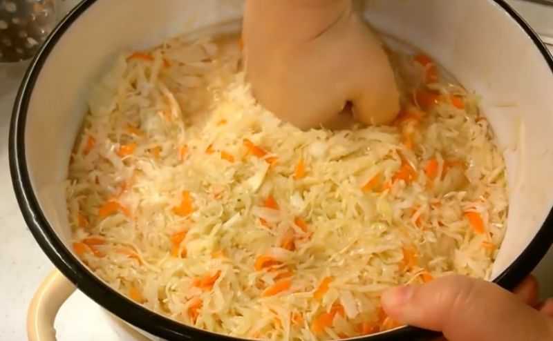 Капуста квашеная сладкая / заготовка капусты / tvcook: пошаговые рецепты с фото
