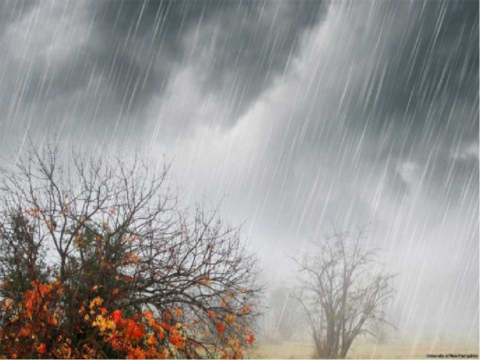 Дул влажный холодный ветер разнося. Природные явления осенью. Дождливая осень. Сильный осенний дождь. Сильный дождь осенью.