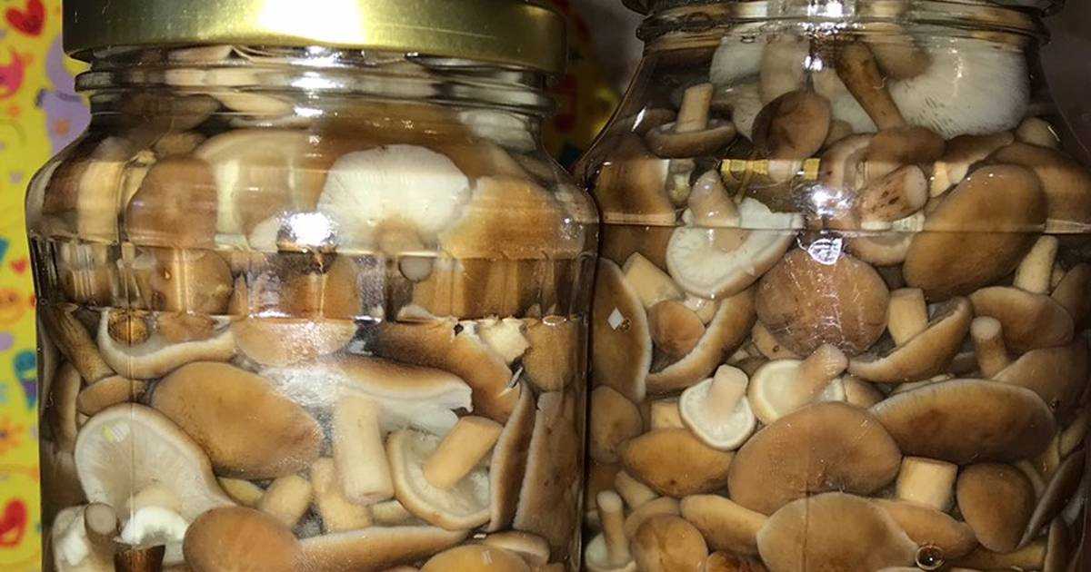 20 вкусных блюд из грибов, которые разнообразят твое меню