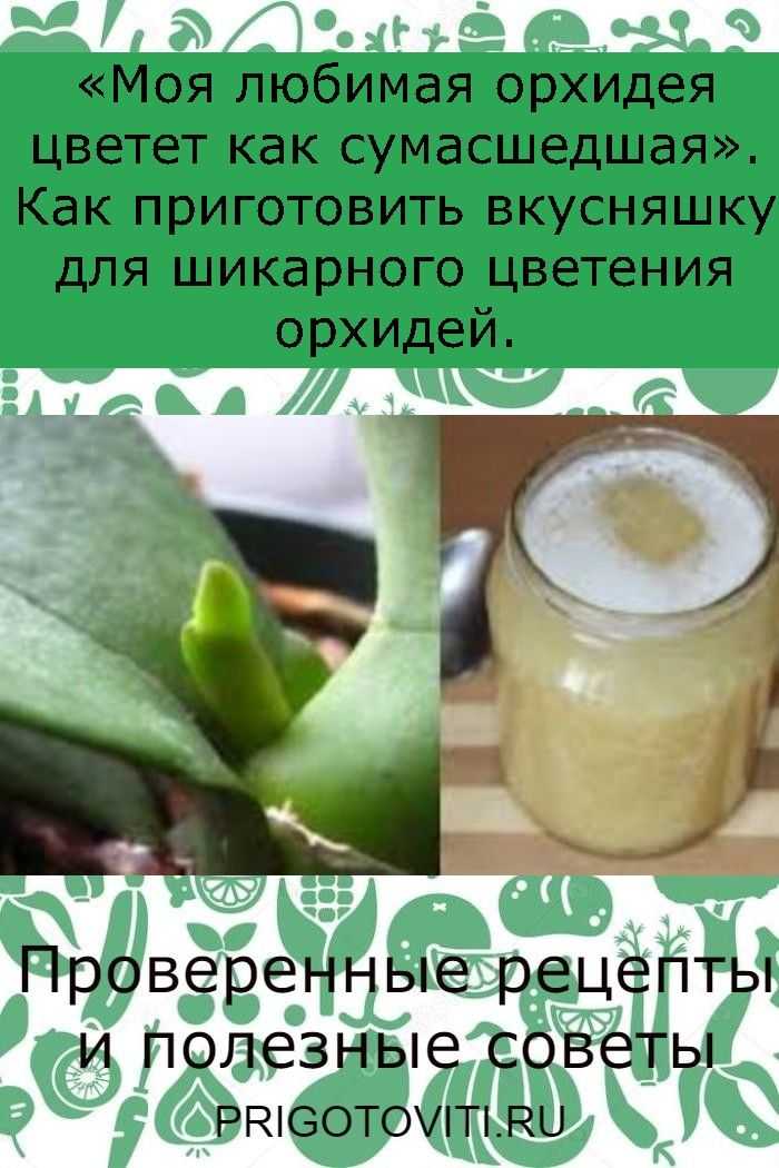 Почему чесночная вода лучше зубчика чеснока, и в чем сила средства? :: polismed.com