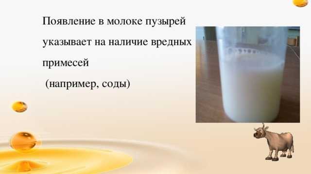 Как проверить качество молока в домашних условиях