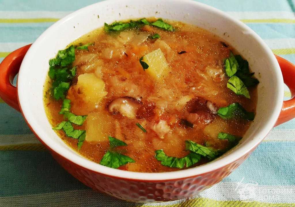 Щи из квашеной капусты - 10 пошаговых рецептов приготовления с фото