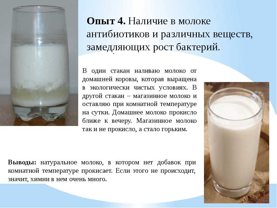Можно пить антибиотики после молока