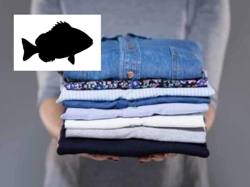 Рыба воняет что делать. Вещь с запахом рыбы. Как выстирать одежду от рыбы. Одежда провоняла рыбой. Как избавить от запаха рыбы на одежде.