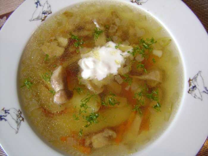 Грибной суп из сушеных грибов – 10 самых вкусных рецептов