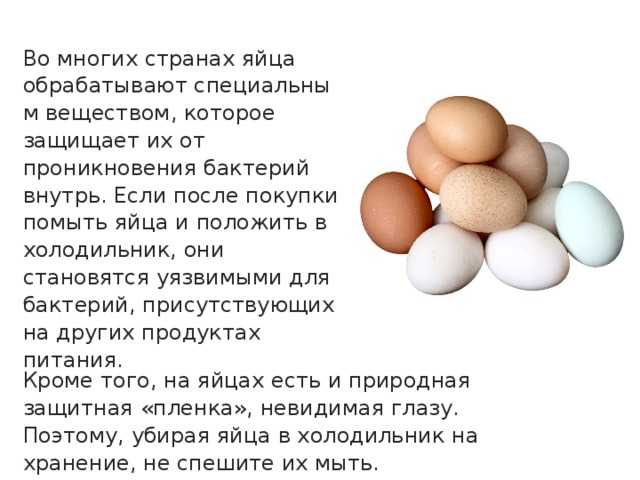 Яйца качка. Мытье яиц. Обработка куриных яиц. Схема обработки яиц. Яйцо куриное обработанное.
