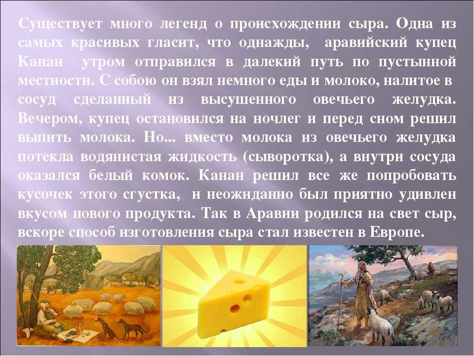 История сыра картинки