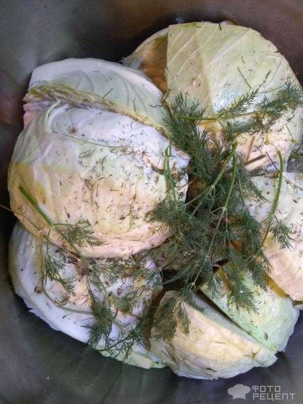 Рецепт засолки капусты по армянски