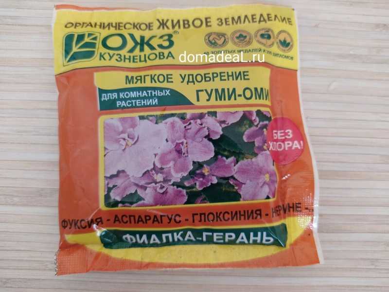 Топ-6 способов как заставить обильно цвести фиалки