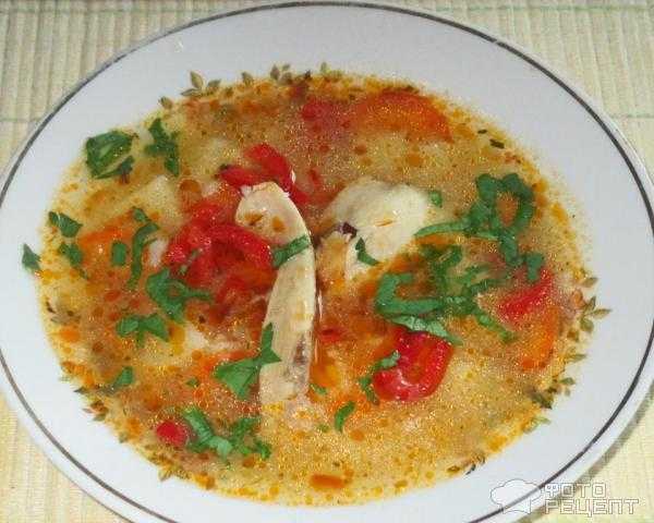 Суп с болгарским перцем - вкусное и изысканное лакомство для торжества: рецепт с фото и видео