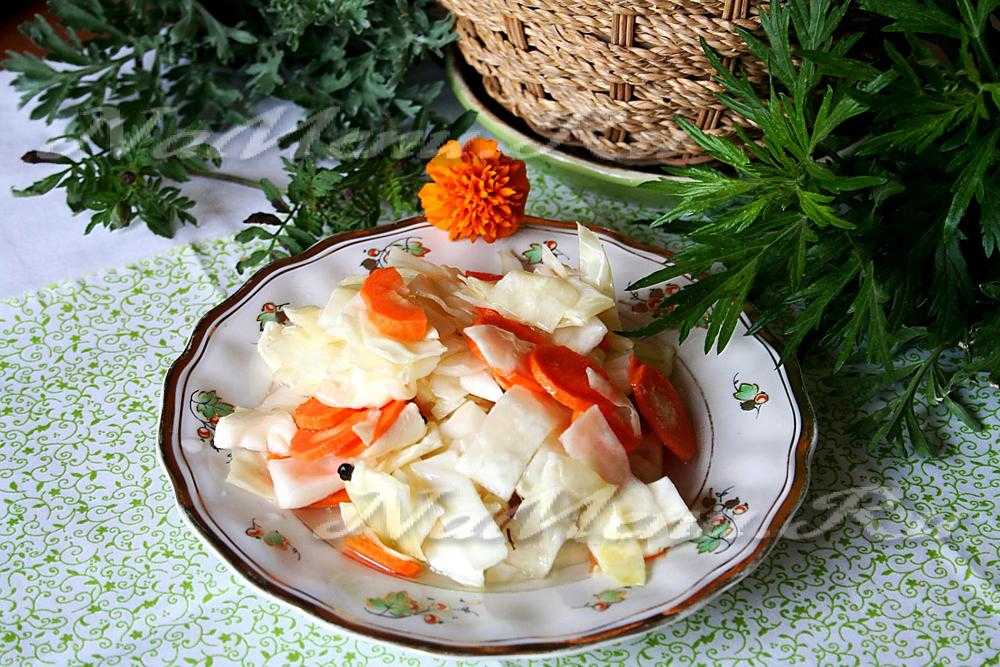 Рецепт салат из белокачанной капусты с морковью и лимонным соком. калорийность, химический состав и пищевая ценность.