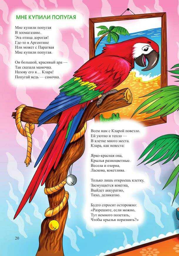 Уроки попугая говорить. Стих про попугая. Детские стихи про попугая. Стишки детские про попугая. Стих про попугайчика.
