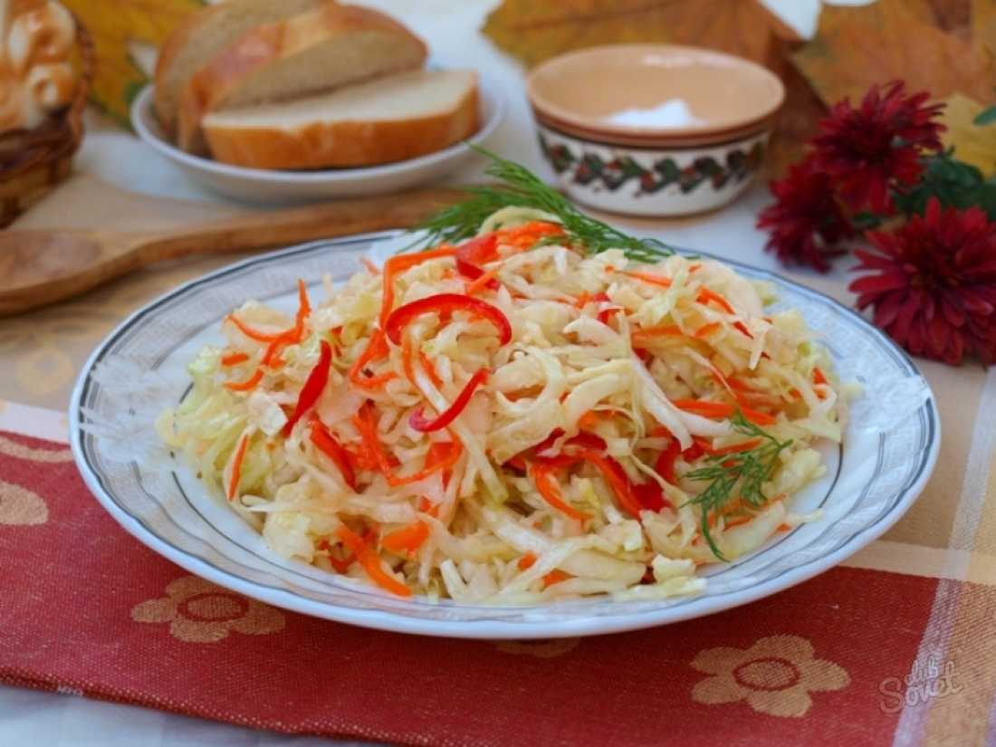 Квашенная капуста по-болгарски – рецепт домашней заготовки или вкусное и полезное овощное ассорти на зиму. » сусеки